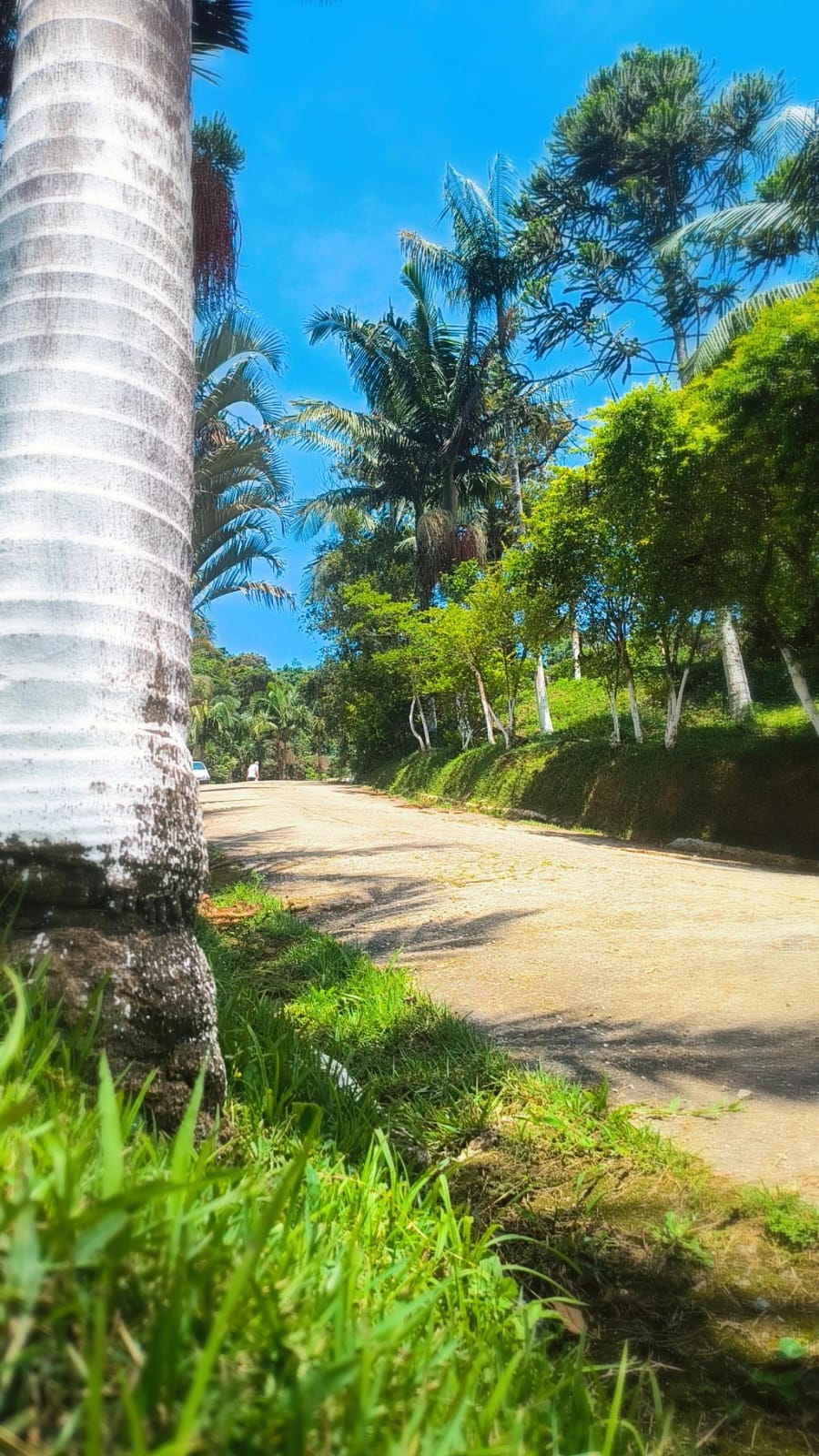 Jardins e natureza exuberante